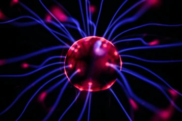 neuron